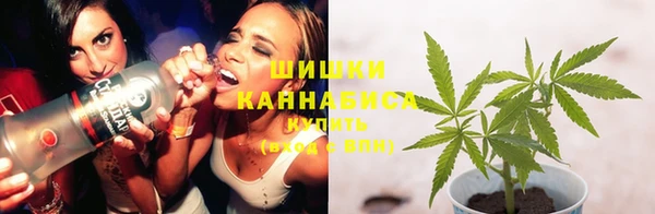 PSILOCYBIN Абаза