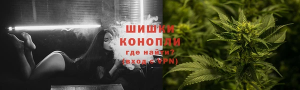 PSILOCYBIN Абаза