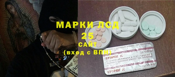 PSILOCYBIN Абаза