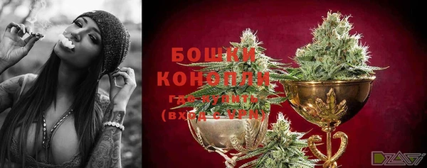 PSILOCYBIN Абаза