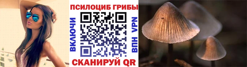 наркота  mega зеркало  Галлюциногенные грибы Cubensis  Людиново 